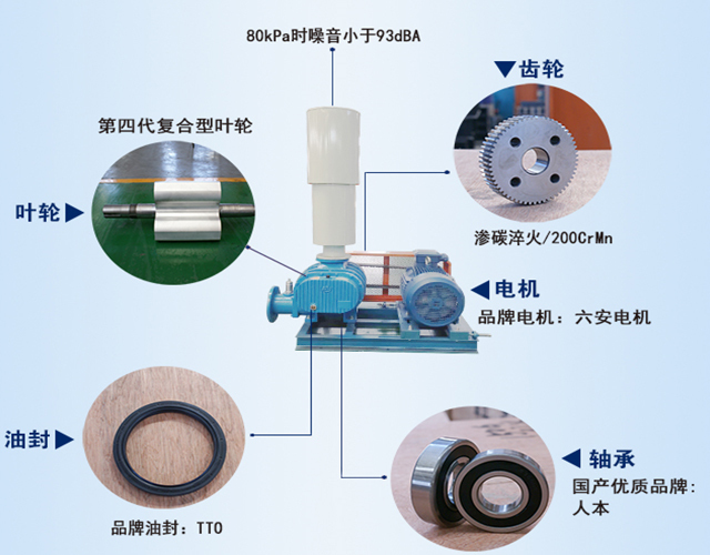 三叶罗茨风机常见问题排查与高效解决指南
